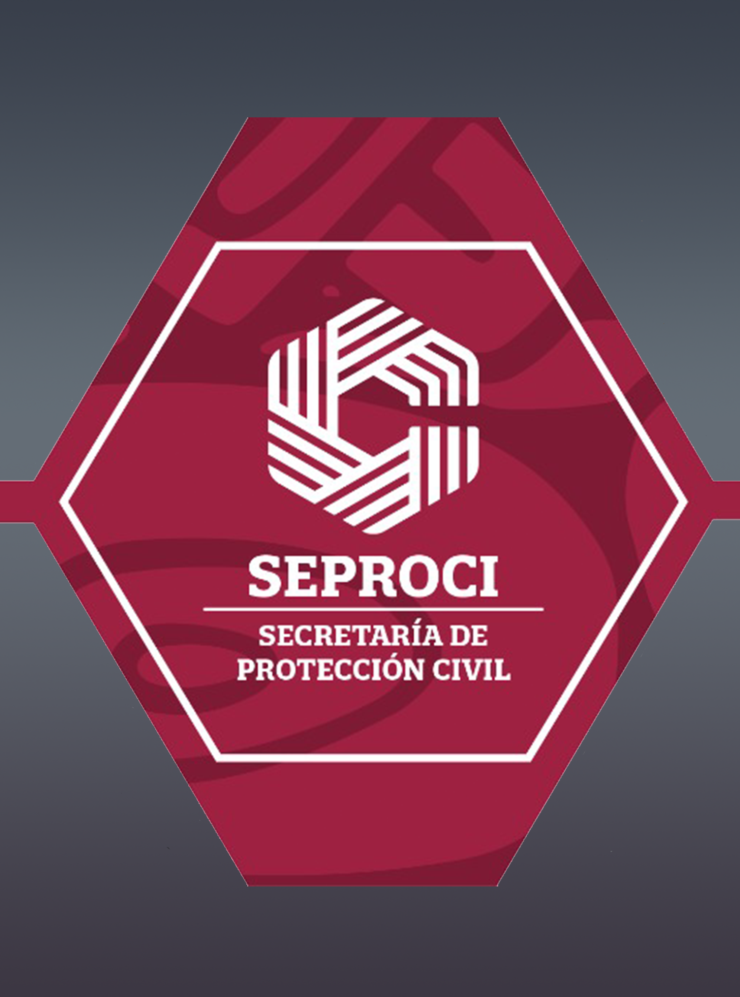 Authentication image